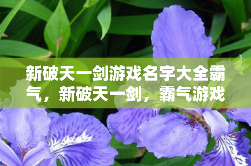 新破天一剑游戏名字大全霸气,新破天一剑,霸气游戏名字精选 新破天一剑游戏名字大全霸气,新破天一剑,霸气游戏名字精选
