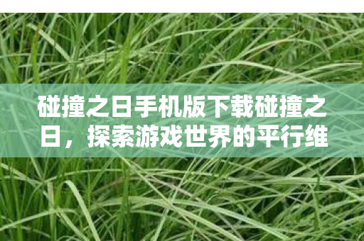 碰撞之日手机版下载碰撞之日图片