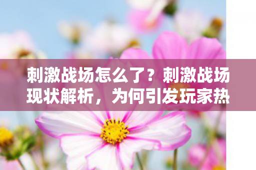 刺激战场现状解析图片