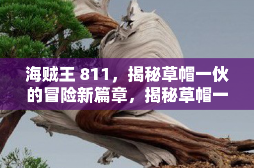 揭秘草帽一伙的冒险新篇章图片