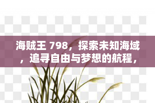 追寻自由与梦想的航程图片