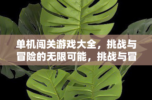 挑战与冒险的无限可能图片