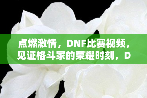 见证格斗家的荣耀时刻图片