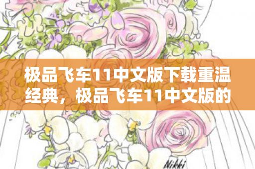极品飞车11中文版下载重温经典图片