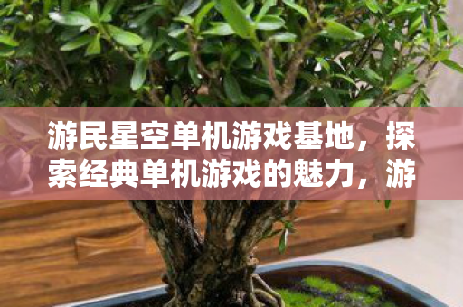 探索经典单机游戏的魅力图片