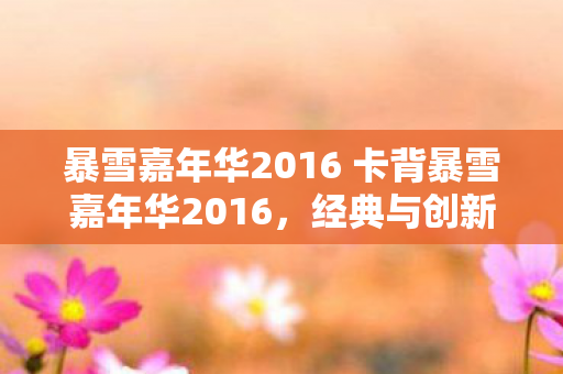 暴雪嘉年华2016 卡背暴雪嘉年华2016图片