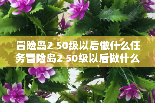 冒险岛2 50级以后做什么任务冒险岛2 50级以后做什么图片