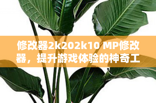 修改器2k202k10 MP修改器图片