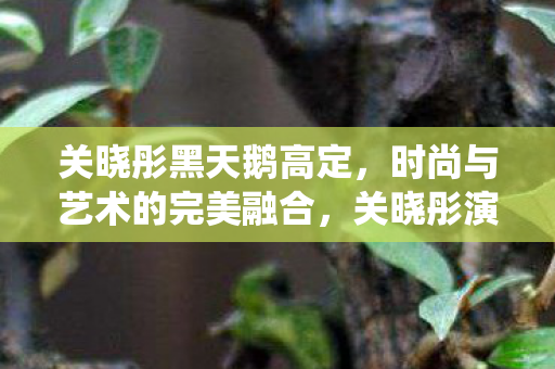 时尚与艺术的完美融合图片
