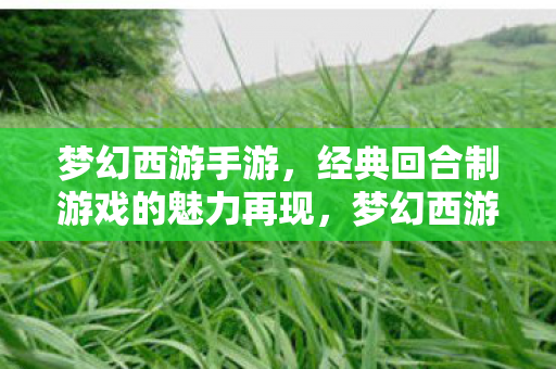 经典回合制游戏的魅力再现图片