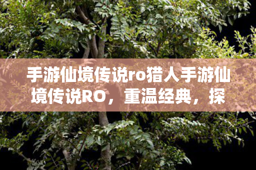 手游仙境传说ro猎人手游仙境传说RO图片