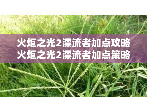 火炬之光2漂流者加点攻略火炬之光2漂流者加点策略图片