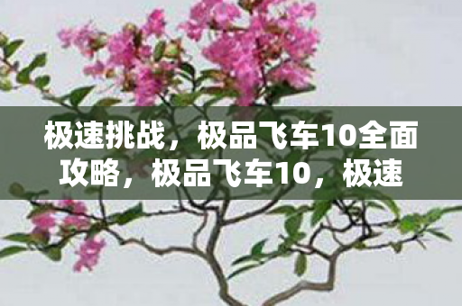 极品飞车10全面攻略图片