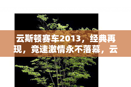 云斯顿赛车2013图片