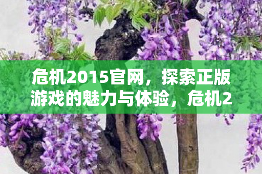 探索正版游戏的魅力与体验图片
