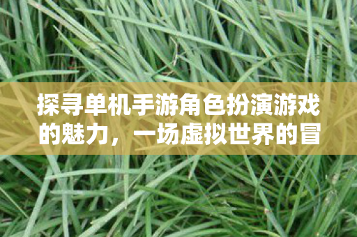 探寻单机手游角色扮演游戏的魅力图片
