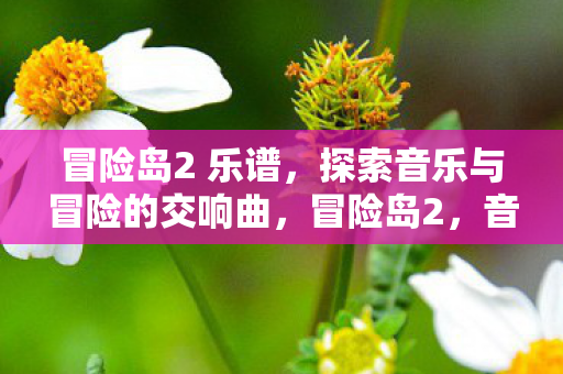探索音乐与冒险的交响曲图片