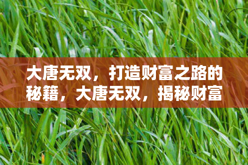 揭秘财富之路的打造秘籍图片