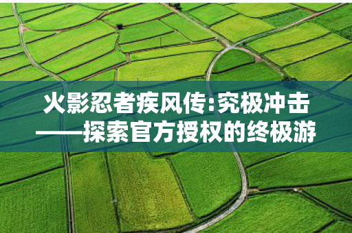 究极冲击探索官方授权终极游戏体验图片