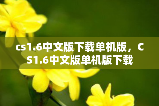 6中文版下载单机版图片
