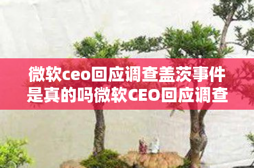微软ceo回应调查盖茨事件是真的吗微软CEO回应调查盖茨事件图片