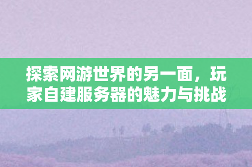 玩家自建服务器的魅力与挑战图片
