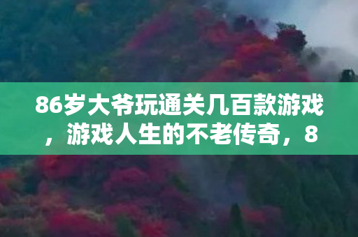 86岁大爷玩通关几百款游戏图片