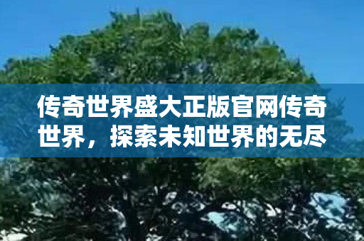传奇世界盛大正版官网传奇世界图片