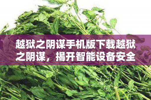 越狱之阴谋手机版的下载与隐秘角落图片