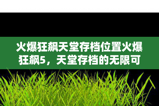 火爆狂飙天堂存档位置火爆狂飙5图片