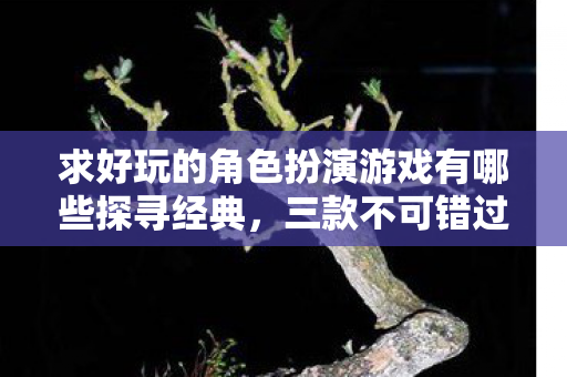 求好玩的角色扮演游戏有哪些探寻经典图片