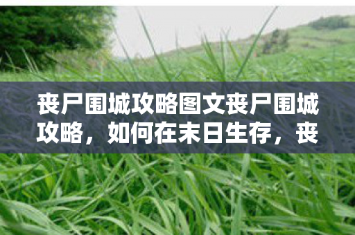 丧尸围城攻略图文丧尸围城攻略图片