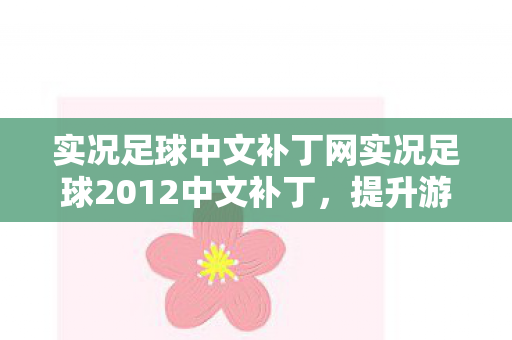 实况足球中文补丁网实况足球2012中文补丁图片