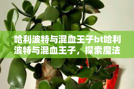 哈利波特与混血王子bt哈利波特与混血王子图片