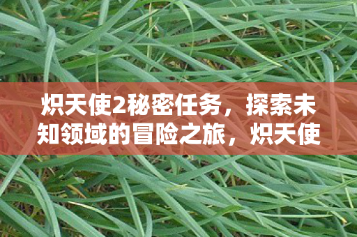 探索未知领域的冒险之旅图片