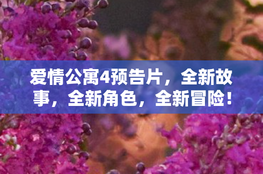 角色与冒险即将开启图片