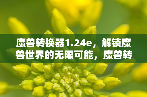 解锁魔兽世界的无限可能图片