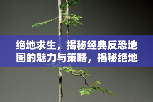 揭秘绝地求生经典反恐地图的魅力与策略图片