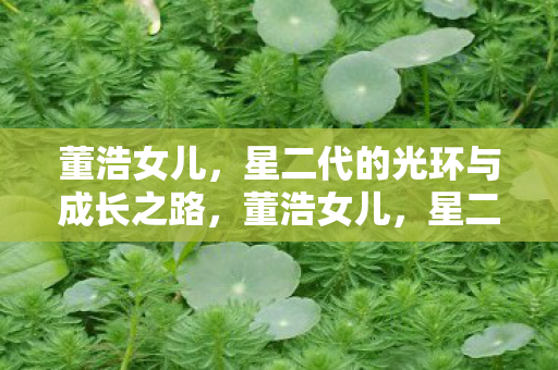 星二代的光环与成长之路图片
