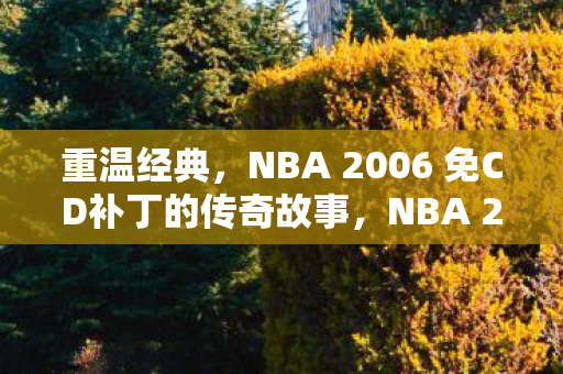 NBA 2006 免CD补丁的传奇故事图片