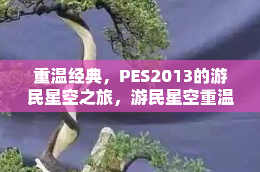 PES2013的游民星空之旅图片