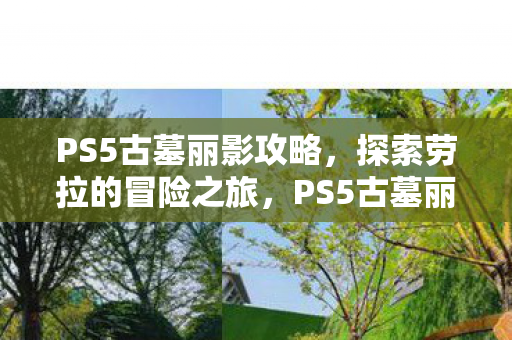 跟随劳拉踏上惊险冒险之旅图片