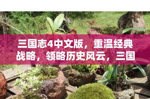 三国志4中文版图片