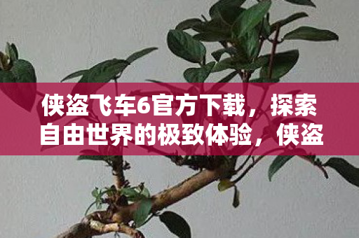 探索自由世界的极致体验图片