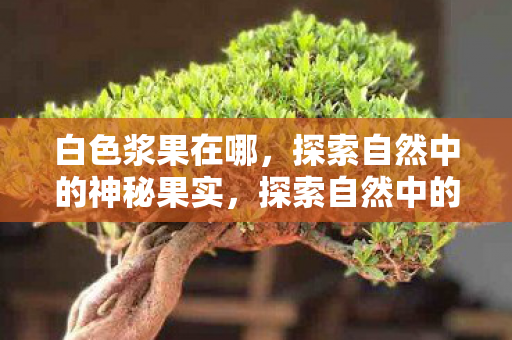 探索自然中的神秘果实图片