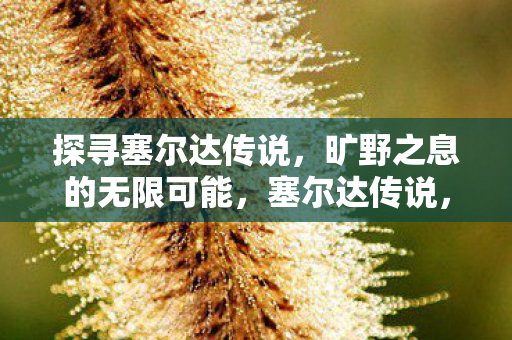 旷野之息的无限可能探索图片