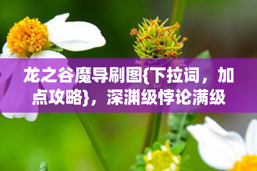 深渊级悖论满级技能树解析图片