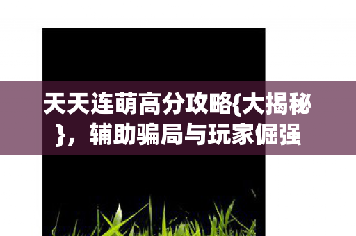 辅助骗局与玩家倔强图片
