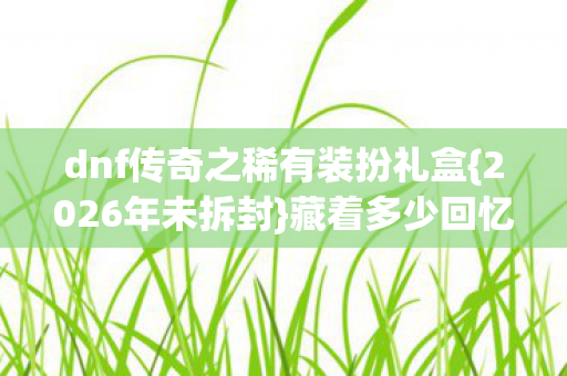 dnf传奇之稀有装扮礼盒图片