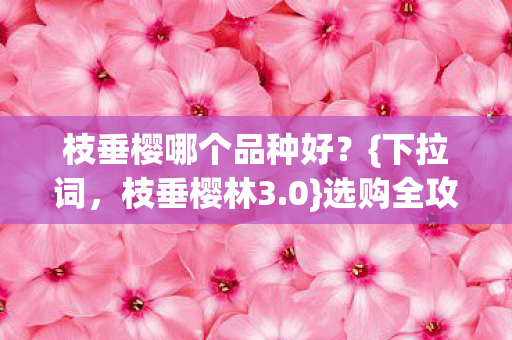 枝垂樱哪个品种好图片